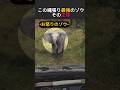 この縄張り最強のゾウ、その正体