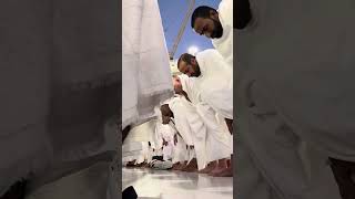 KABE İMAMI MAHİR ’DEN süper bir ŞEMS SURESİ ve NASR(izaca) SURESİ AKŞAM NAMAZINDA