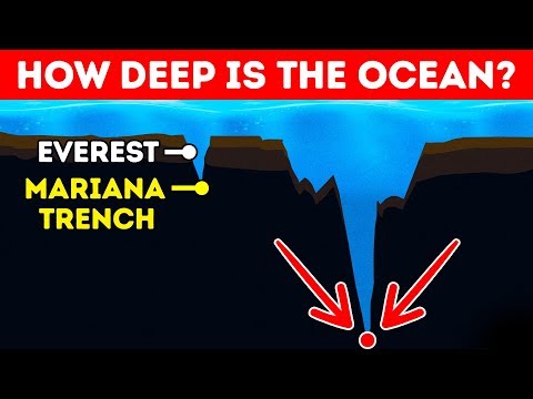海は実際にどれくらい深いですか？