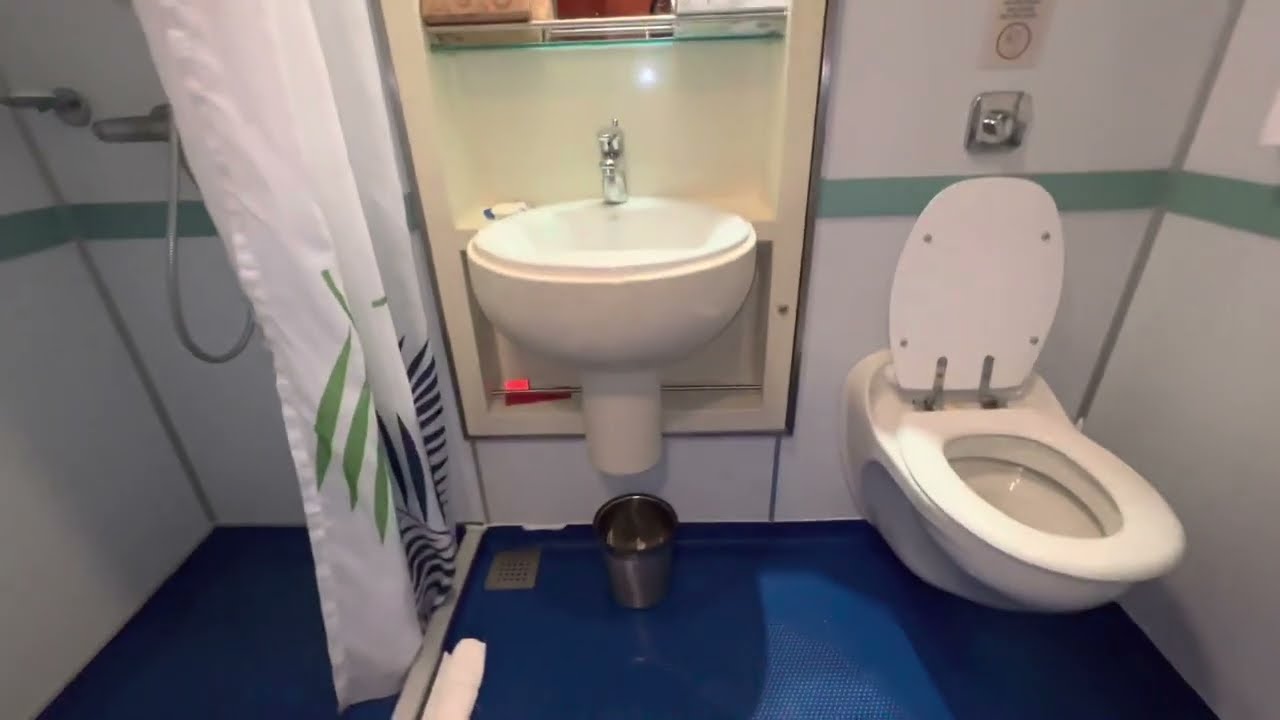 Inside Our Interior Room on Carnival Cruise Bathroom, King Bed