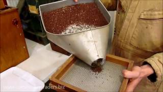 Clary Sage Seed Cleaning