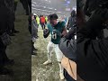 The Philadelphia Eagles are heading to the NFC Championship Game #shorts
