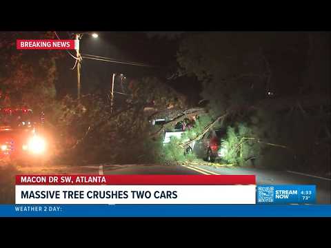Tree falls on two vehicles in Atlanta