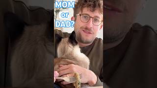 MOM VS DAD PLACE YOUR BETS NOW(pt 1) #bagagwa #catsofyoutube #cats #summer #viral #shorts #shortfeed