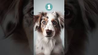 Cuteness Contest Please Vote In The Comments