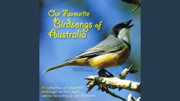 Thumbnail of Brolga, Magpie-Lark, Masked Lapwing