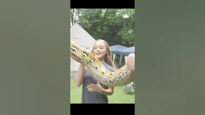 My Giant Snake Needs A Giant Cage! @SerpaDesign