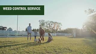 Premium Eight-Step Program Fertilizes Treats Weeds & Controls Grub Worms | Grassmasters Weed Control