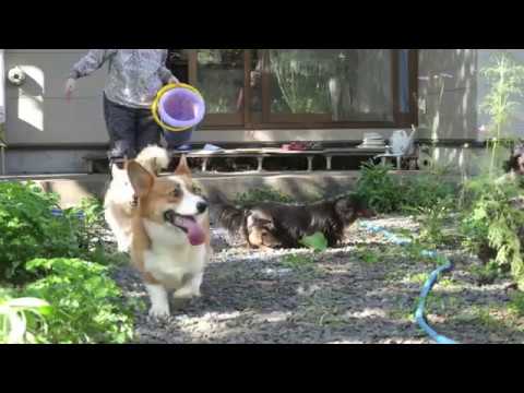 2018  秋晴れはお母さんと一緒