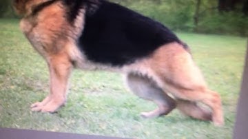 Firealpaca art layer tutorial