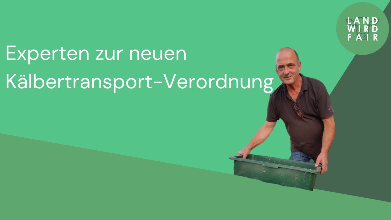 Experten zur Kälbertransport-Verordnung