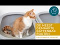 DE MEEST GEMAAKTE FOUTEN MET DE KATTENBAK