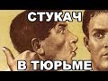 Как становятся стукачами в тюрьме. Как распознать стукача