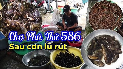 Nước Lũ Cần Thơ 2019_CHỢ PHÚ THỨ 586 sau khi triều cường rút (p1)\CS Cần Thơ HG
