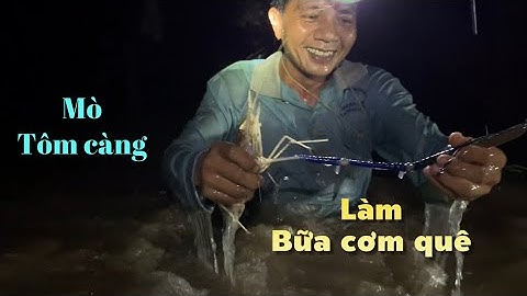 Có những ngày mưa đi mò tôm càng xanh về làm bữa cơm sáng quá ngon | Cù Lao Dung Vlogs #526