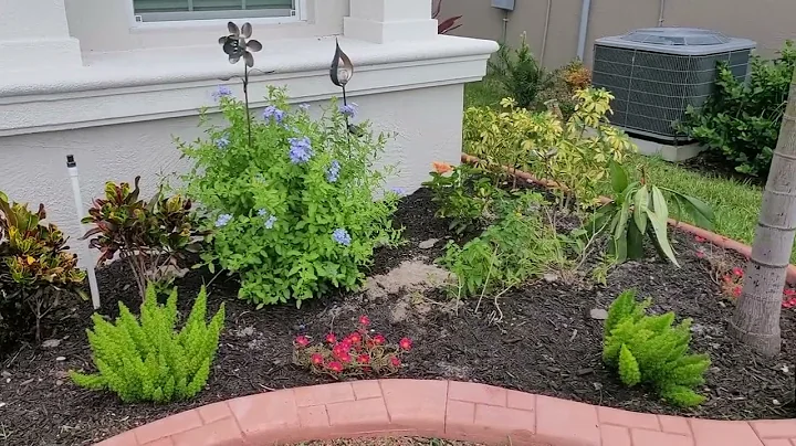 Groves' New Landscaping at Lake Ashton