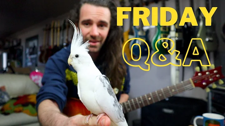 Birb? Vinnie Moore? Voice Leading? ZZ Riffs? Q&A 130