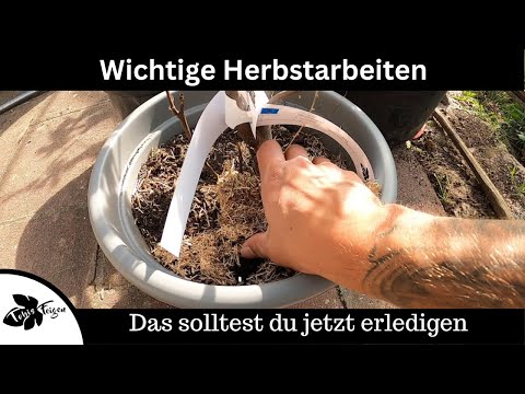 Wichtige Herbst Arbeiten | Das solltest du jetzt erledigen