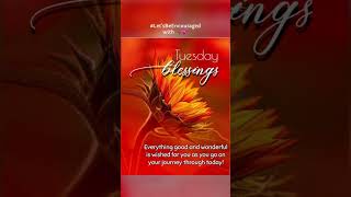 💕Tuesday Blessings: Good & Wonderful 💕Tuesday Blessings: Good & Wonderful