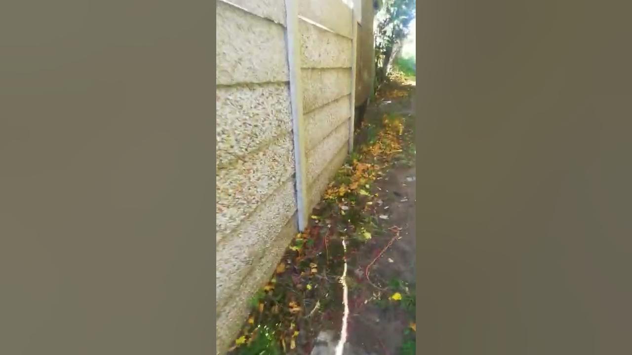 Advice on how to get a council allotment. YouTube