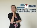 300 секунди право: Източници на правото на Европейския съюз