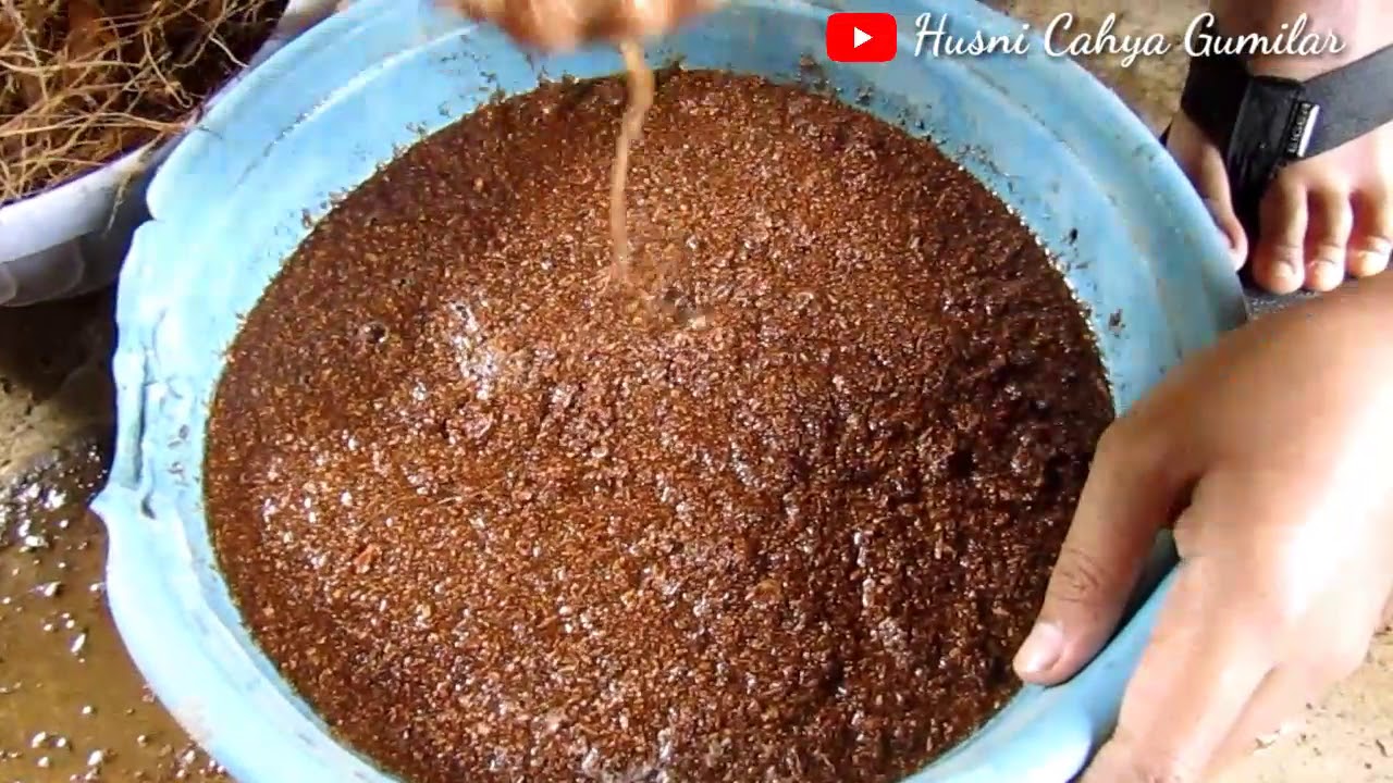 Cara Menghilangkan Zat Tanin Pada Cocopeat Untuk Media Tanam Organik