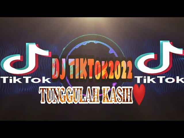 DJ TIKTOK VIRAL 2022|TUNGGULAH KASIH❤️| _ZIDAN Ft TRI SUAKA_ class=