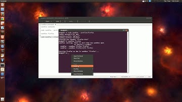Ubuntu/Linux: SandFox
