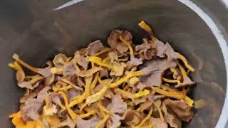 194. Craterellus tubaeformis( trattkantareller) cantharellus ( gul kantareller)