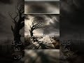 mein us Sy behtr hoon