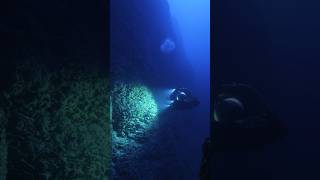 Under the Ocean 500 Meters