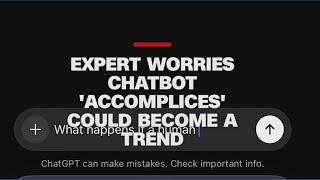 Expert worries chatbot 'accomplices' could become a trend