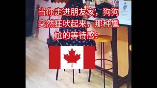 Objectflags Female Colombia Barking