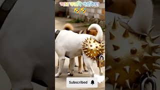আর করবি পরকিয়া ar korbu porokiya #funny #funnyvideo #reels #comedy #trending #unfrezzmyaccount