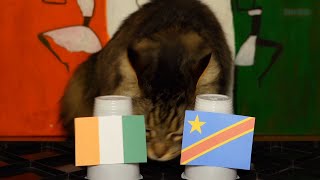 Ivory Coast Vs DR Congo - Cats Africa Cup of Nations 2024 Semifinal Prediction