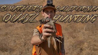 California Quail Hunting - Opening Day 2021