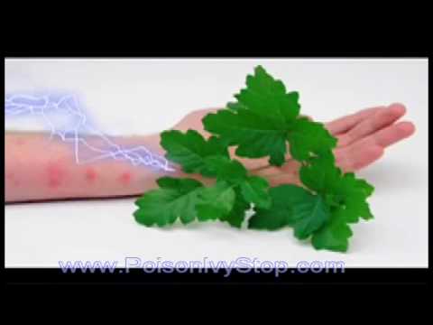 Poison Ivy Rash