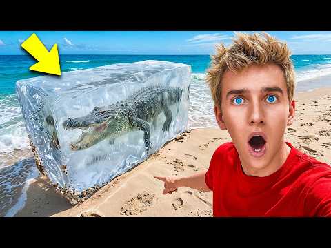 IF YOU SEE THIS AT THE BEACH... DO NOT SWIM!!