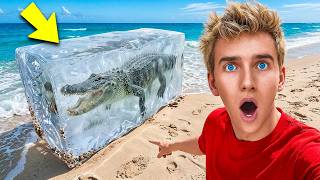 IF YOU SEE THIS AT THE BEACH... DO NOT SWIM!!