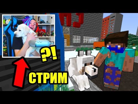 ВЫЖИВАНИЕ БОМЖА В РОССИИ И МИНИ ИГРЫ В МАЙНКРАФТ! - СТРИМ ЖЕКИ ЗАЛЕТАЙ! - ВЫЖИВАНИЕ БОМЖА В РОССИИ И МИНИ ИГРЫ В МАЙНКРАФТ! - СТРИМ ЖЕКИ ЗАЛЕТАЙ!
