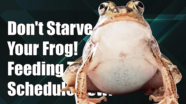 Don't Starve Your Frog! Discover the Perfect Feeding Schedule Now!