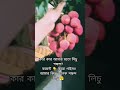 কমেন্ট করো