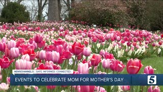 Events to celebrate Mother's Day