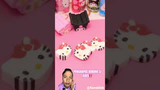 PENGHAPUS KUROMI SI ADEK⁉️ diy sanriogirl bts sanriopuroland cinnamoroll bt21 kawaiistuff