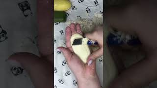 Второй абсолют #мыло #мылоасмр #soap #мылюмыло #обзормыла #asmr #soapasmr #мылосисториями #дегтярное