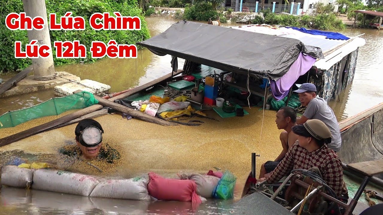 Quá Xui Cho Chủ Ghe Lúa Chở 60 Tấn Lúa Đang Chạy Gướng Trụ Nọc Giữa Sông Chìm Luôn.