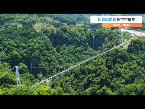初夏の新緑「空中散歩」 西椎屋の滝と九重“夢”大吊橋 - YouTube