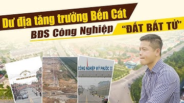 Dư Địa Tăng Trưởng Bến Cát BĐS Công Nghiệp - Đất Bất Tử