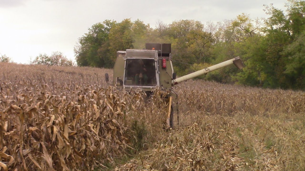 Fortschritt E-514 Kukorica aratás 2025.