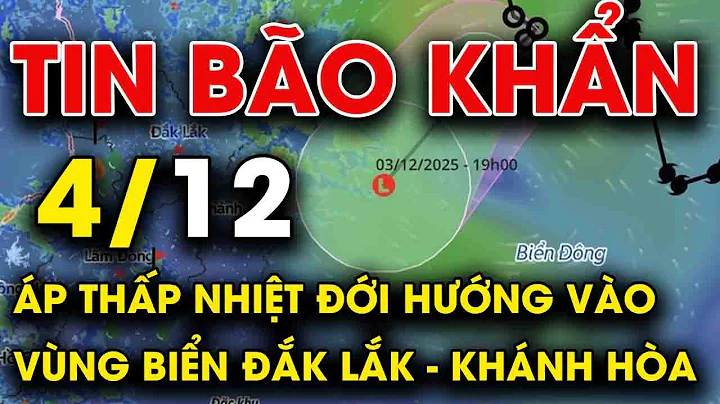 🔥 TIN BÃO MỚI NHẤT 4/12: Áp thấp nhiệt đới hướng vào vùng biển Đắk Lắk - Khánh Hòa